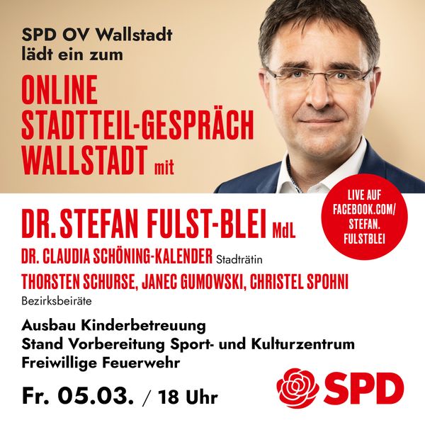 Online Stadtteil-Gespräch Wallstadt